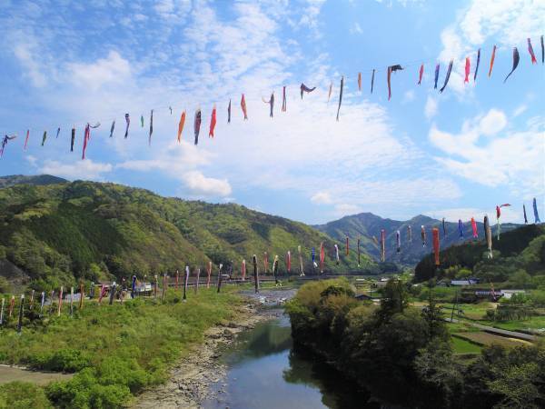 「よってこい四万十」～こいのぼり川渡し発祥の地で3年ぶりに開催！～