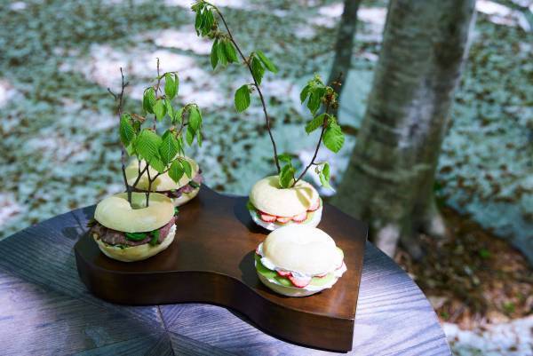 【奥入瀬渓流ホテル】約1ヵ月しか見られない絶景の中で、感動的な朝を迎える「絶景根びらき朝活」新登場｜開催期間：2023年5月8日～21日