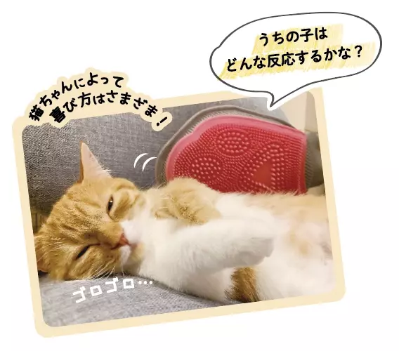 トロ顔猫ちゃんがSNSで人気。かわいいトロ顔にみんな癒やされる・・・　森のトンネル「猫舌とろん2wayグローブ」2月10日（金）発売