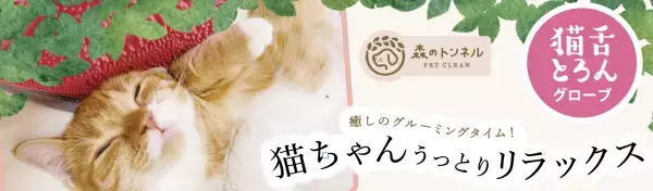 トロ顔猫ちゃんがSNSで人気。かわいいトロ顔にみんな癒やされる・・・　森のトンネル「猫舌とろん2wayグローブ」2月10日（金）発売