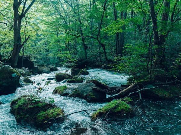 【奥入瀬渓流ホテル】国立公園の大自然を堪能「奥入瀬渓流プライベートフィッシング」が新登場 ～奥入瀬の絶好のスポットで、自分流にカスタマイズしたギアで渓流釣りを楽しむ～｜提供期間：2023年4月17日～5月8日