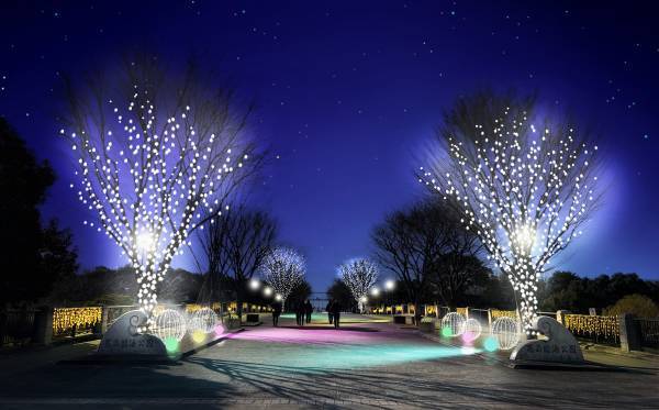 【葛西臨海公園】圧巻！20万輪のスイセンと太陽光イルミで 春の訪れを感じる「花と光のムーブメント」開催　<2月3日（金）～3月5日（日）>