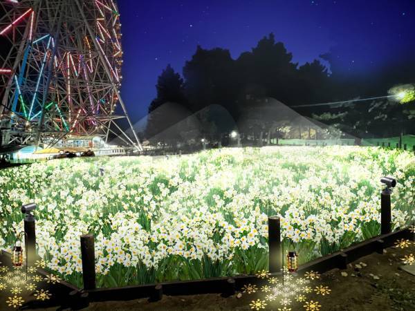 【葛西臨海公園】圧巻！20万輪のスイセンと太陽光イルミで 春の訪れを感じる「花と光のムーブメント」開催　<2月3日（金）～3月5日（日）>