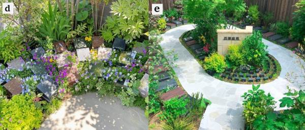 無料タクシーで樹木葬のハシゴ見学、お墓選びのコツは現地見学と比較検討