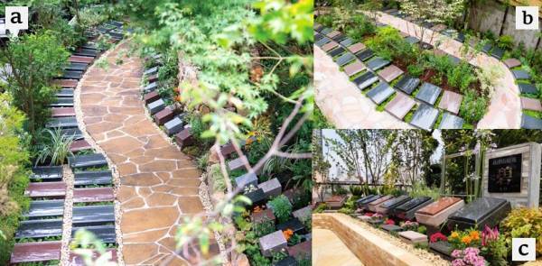 無料タクシーで樹木葬のハシゴ見学、お墓選びのコツは現地見学と比較検討