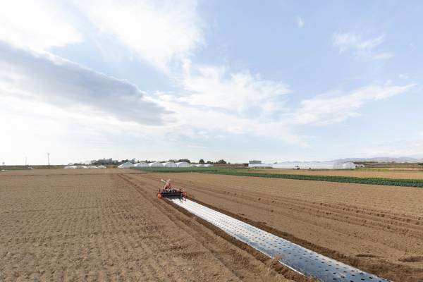 【宮城県・一の坊リゾート】安心、高品質な食材を求めて「Meet-Up TOHOKU ソト活 一の坊™️」仙台市若林区にある山田農園さんを訪ねました