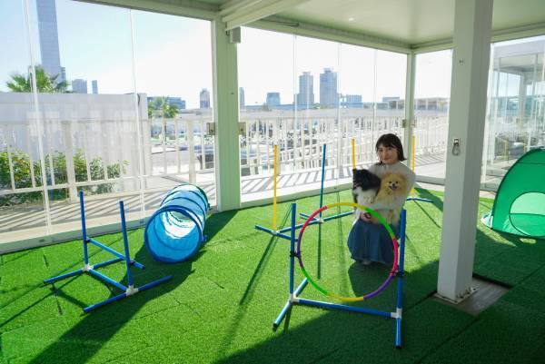 【湾岸エリア在住ママと協働開発】室内に遊び場あり！ “子ども連れ”と“わんちゃん連れ”専用ルームの予約を12月20日（水）から開始：提供：1月4日（木）～2月29日（木）【キラナガーデン豊洲】