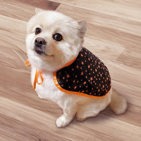 ハロウィン商品第２弾！ コスチュームやカチューシャで パーティーの準備もばっちり！