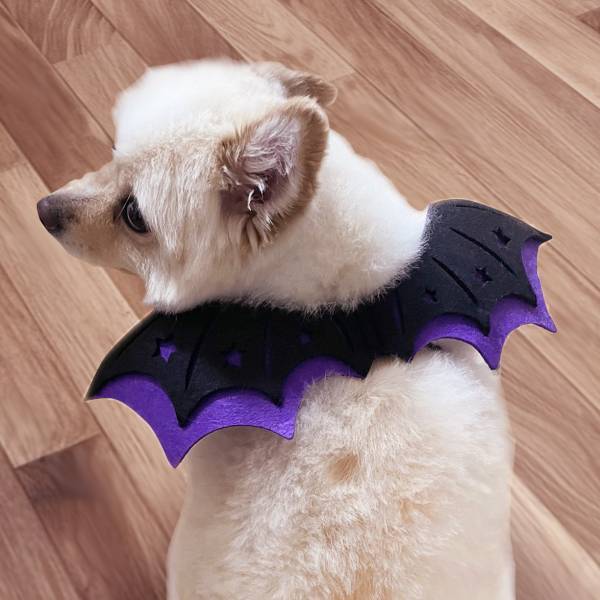 ハロウィン商品第２弾！ コスチュームやカチューシャで パーティーの準備もばっちり！