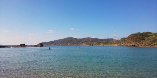 【倉敷芸術科学大学】少年時代に発見した化石、時を超え40年後に自ら研究