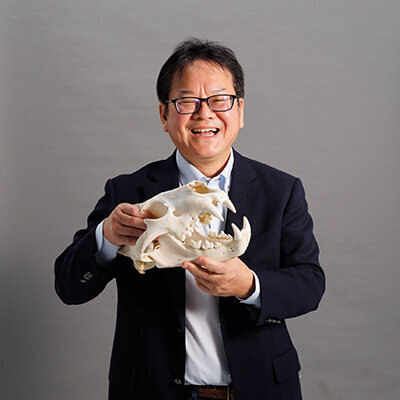 【倉敷芸術科学大学】少年時代に発見した化石、時を超え40年後に自ら研究