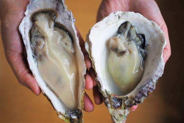 ＼全品ポイント10倍／たびふく感謝祭4/21(金)朝10時開始！【旅する久世福e商店】