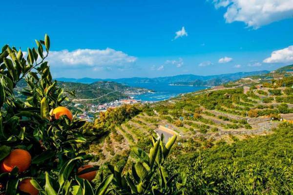 ＼全品ポイント10倍／たびふく感謝祭4/21(金)朝10時開始！【旅する久世福e商店】