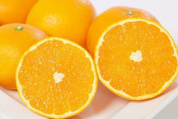 ＼全品ポイント10倍／たびふく感謝祭4/21(金)朝10時開始！【旅する久世福e商店】