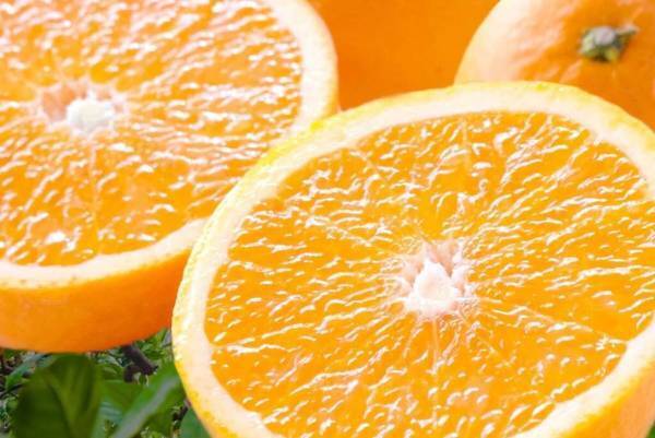 ＼全品ポイント10倍／たびふく感謝祭4/21(金)朝10時開始！【旅する久世福e商店】