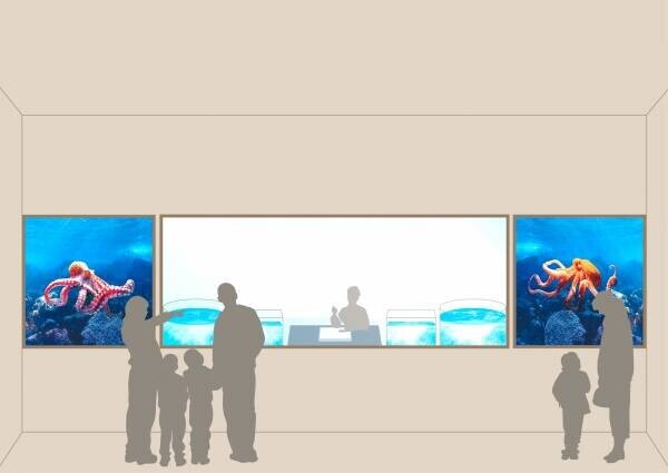 越前松島水族館　　展示施設 「みずだこ館」 2024年3月オープン