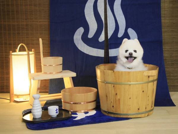 オールインクルーシブの温泉旅館が洞爺湖に誕生！ 「ゆとりろ洞爺湖」にて“まるまるゆとりろ”サービス開始