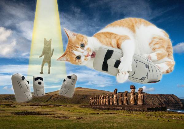 猫×月刊ムー？！奇妙でカワイイ猫用ミステリーグッズ、UMAじゃらしなどコラボ商品が発売決定！～月刊「ムー」×PEPPYコラボ企画、10月12日（木）3アイテムを発売！～