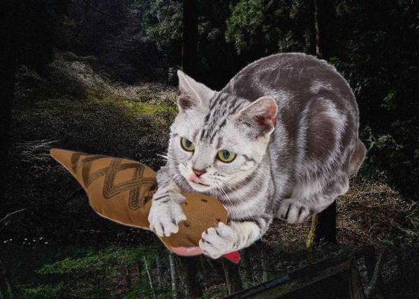 猫×月刊ムー？！奇妙でカワイイ猫用ミステリーグッズ、UMAじゃらしなどコラボ商品が発売決定！～月刊「ムー」×PEPPYコラボ企画、10月12日（木）3アイテムを発売！～