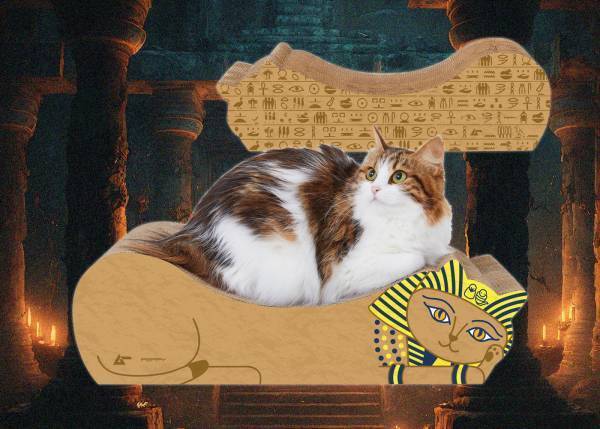 猫×月刊ムー？！奇妙でカワイイ猫用ミステリーグッズ、UMAじゃらしなどコラボ商品が発売決定！～月刊「ムー」×PEPPYコラボ企画、10月12日（木）3アイテムを発売！～