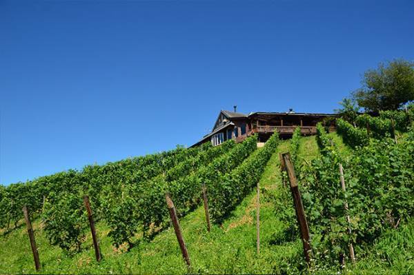 【今年も開催】収穫祭2023 ~ St.Cousair WINE FESTA ~ 2023年10月14日(土)開催【サンクゼール】