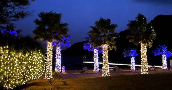 クリスマス・年末はクルージングで素敵な思い出を。シータイガーアイランドイン小豆島にて無料乗船体験を実施中！