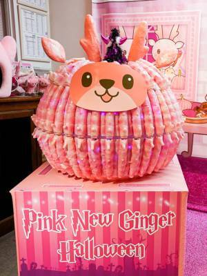 実りの秋に岩下の新生姜で新米を楽しもう♪『岩下の新生姜ミュージアムの新米まつり2023』を10月29日まで開催