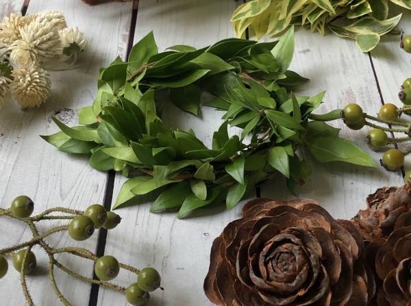 10/28(土)～【代々木公園】「秋のバラフェスタ」開催！ 野外シネマも登場！