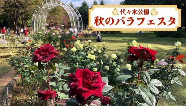 10/28(土)～【代々木公園】「秋のバラフェスタ」開催！ 野外シネマも登場！