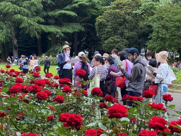 10/28(土)～【代々木公園】「秋のバラフェスタ」開催！ 野外シネマも登場！