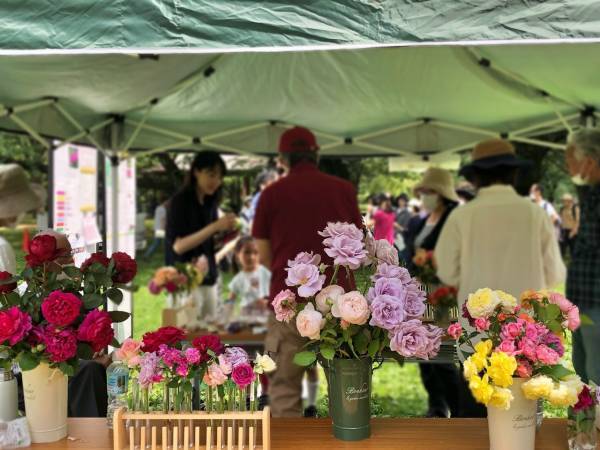 10/28(土)～【代々木公園】「秋のバラフェスタ」開催！ 野外シネマも登場！