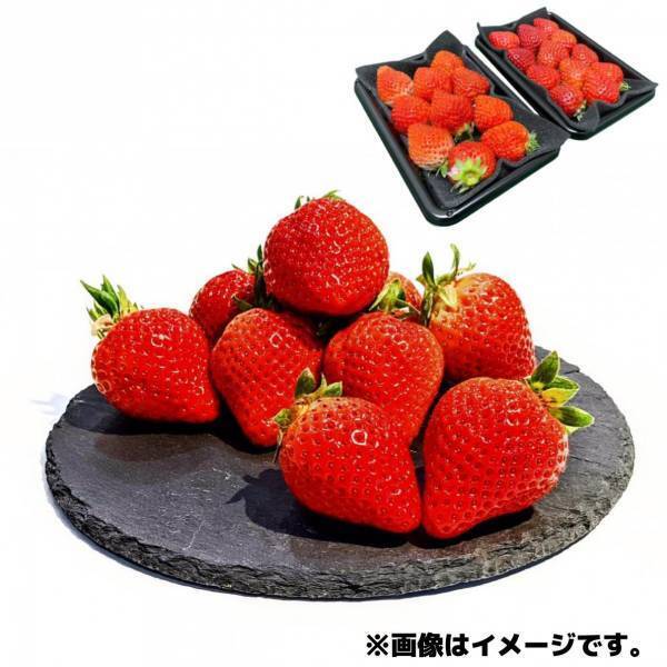 オンラインクレーンゲーム「DMMオンクレ」に 産地直送通販サイト「ＪＡタウン」の商品を提供！