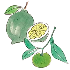 ホエイ増量と新たな香りでワクワクを！ 「Chi-Chiミルクハンドクリーム」がリニューアル販売を開始いたしました