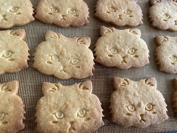 ニュウマン横浜2416MARKETに猫グッズが集合！「カナガワキャットカーニバル」開催！【期間：2023年2月2日(木)～2月28日(火)】