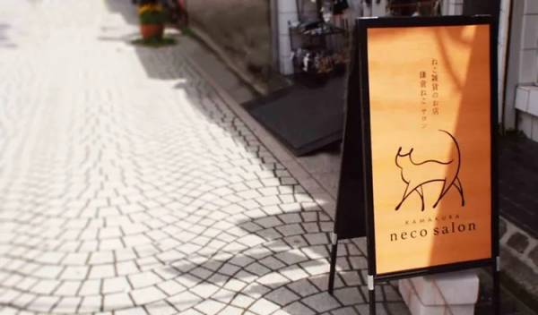 ニュウマン横浜2416MARKETに猫グッズが集合！「カナガワキャットカーニバル」開催！【期間：2023年2月2日(木)～2月28日(火)】