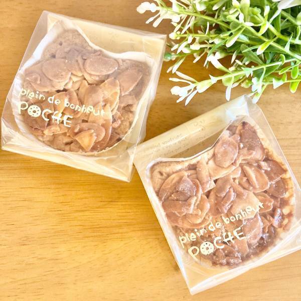 ニュウマン横浜2416MARKETに猫グッズが集合！「カナガワキャットカーニバル」開催！【期間：2023年2月2日(木)～2月28日(火)】