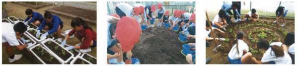 小学校に花の苗を届け続けて３３年 贈呈した苗は東京ドーム約６個分の面積になりました