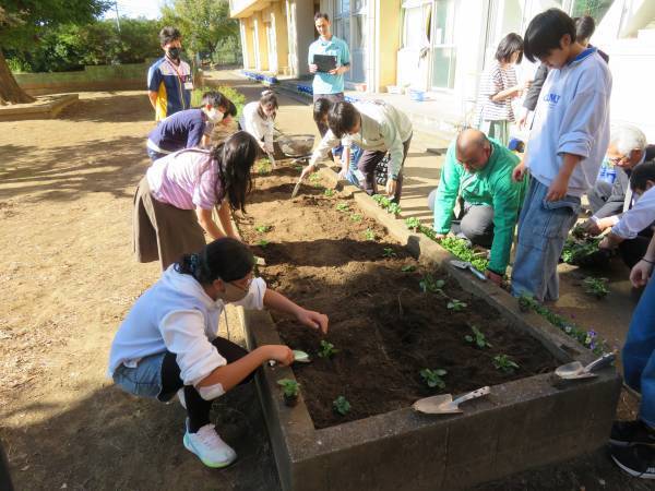 小学校に花の苗を届け続けて３３年 贈呈した苗は東京ドーム約６個分の面積になりました