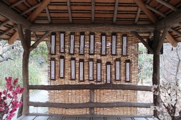 2/10～3/3【向島百花園】「梅まつり」開催