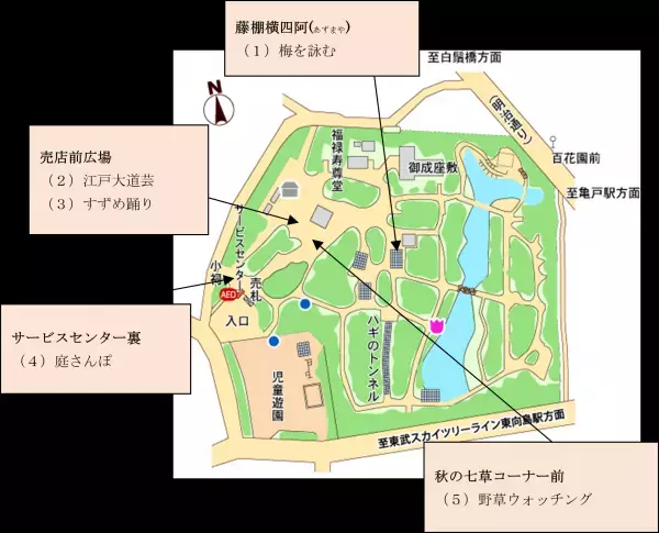 2/10～3/3【向島百花園】「梅まつり」開催