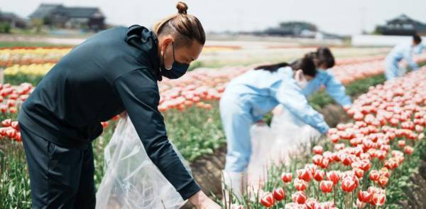 【フラワーレスキュー＆花農家さん支援】球根栽培用チューリップの花摘み体験に参加しませんか？〈開催地：富山県高岡市〉