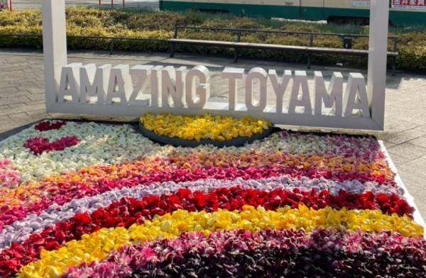 【フラワーレスキュー＆花農家さん支援】球根栽培用チューリップの花摘み体験に参加しませんか？〈開催地：富山県高岡市〉