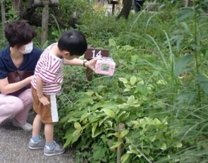 【向島百花園】伝統行事「虫ききの会」「月見の会」「萩まつり」を開催します（8/24～10/1）