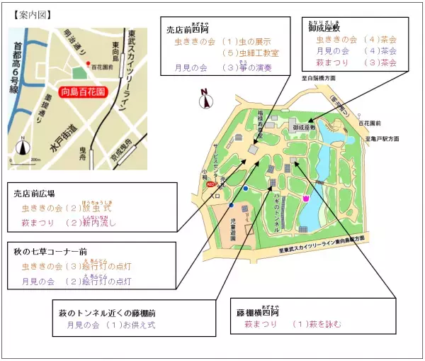 【向島百花園】伝統行事「虫ききの会」「月見の会」「萩まつり」を開催します（8/24～10/1）