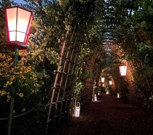 【向島百花園】伝統行事「虫ききの会」「月見の会」「萩まつり」を開催します（8/24～10/1）