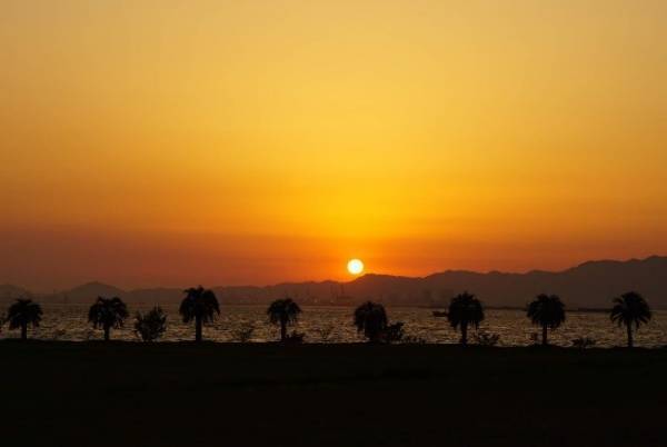 大阪ベイエリアに車中泊を楽しめるRVパーク誕生！キャンプ場と一体化して3月18日にオープン