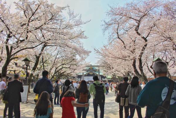 新しいお花見のカタチ。ゲームに沿って桜が咲く街を散策。千代田のさくらまつりでリアル謎解きゲームイベント　3/17(金)から