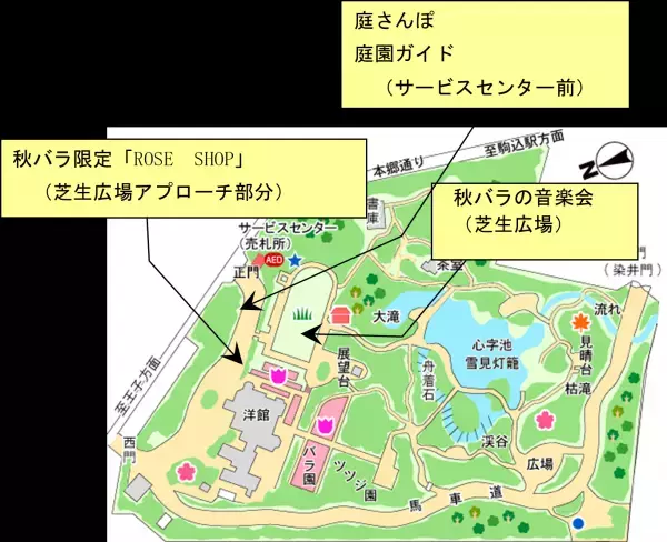 【旧古河庭園】10/7～秋のバラフェスティバル開催