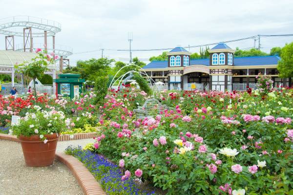 昨年過去最高約3,400人が来場した人気イベント！  5回目となる「早朝ローズガーデン散策デー」開催