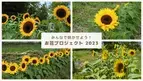 もうすぐ秋分の日！夏のヒマワリから秋のコスモスへ 日本全国100か所以上でお花いっぱいのリレープロジェクト開催中